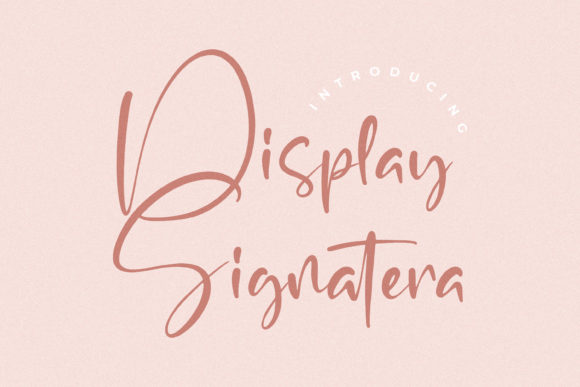 Elevate Your Craft with Display Signatera Font