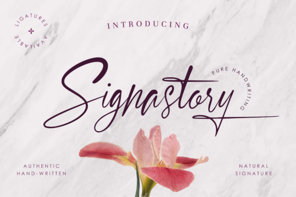 Enhance Your Brand with Signastory: A Versatile Calligraphy Font